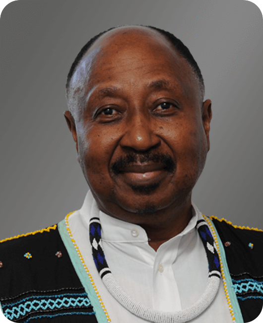 Professor Thandabantu Nlapo