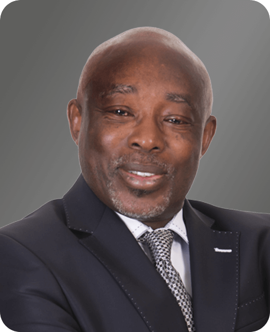 Ambassador Sandile Nogxina